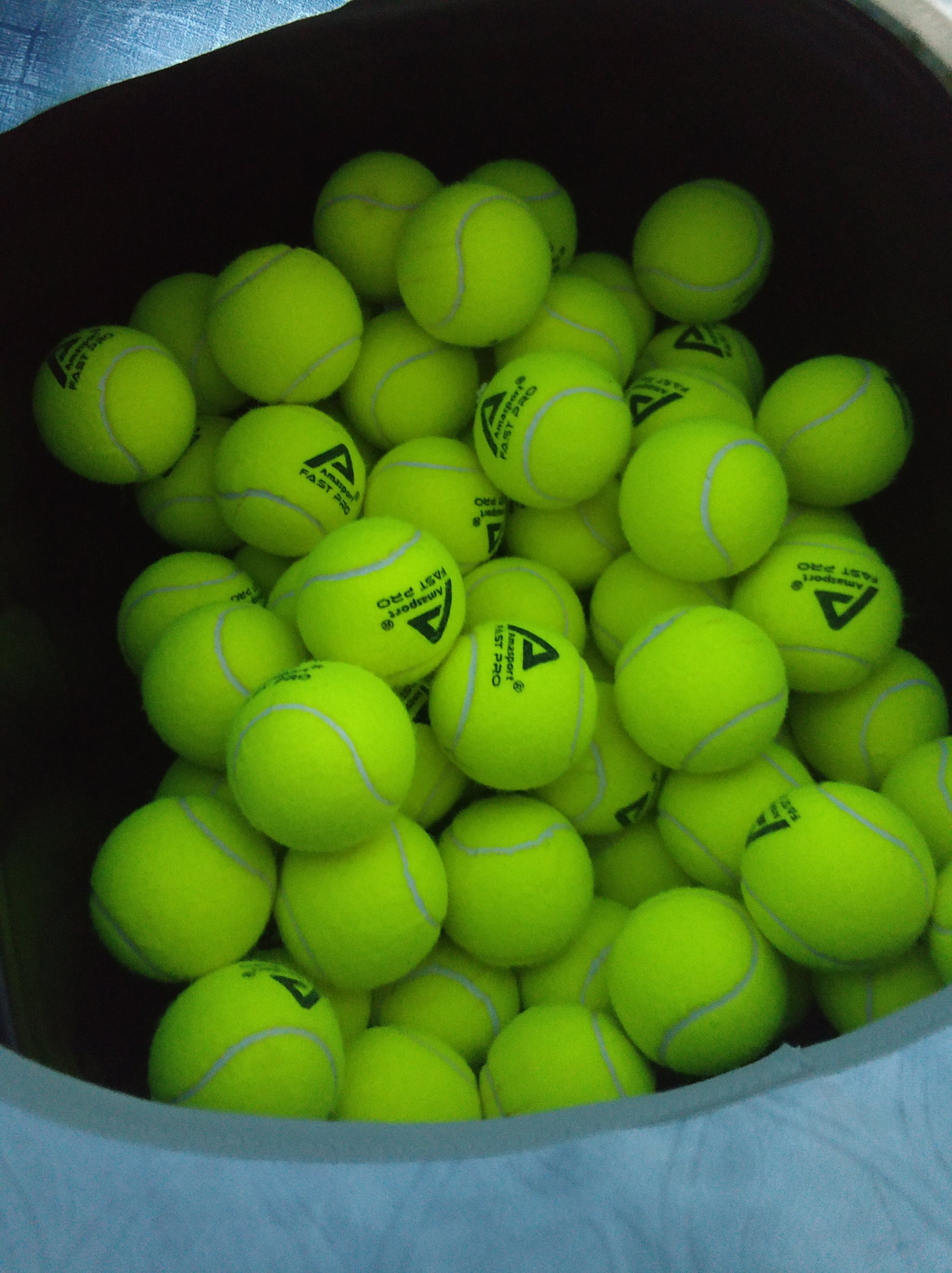 和迅速適應 和迅速適應