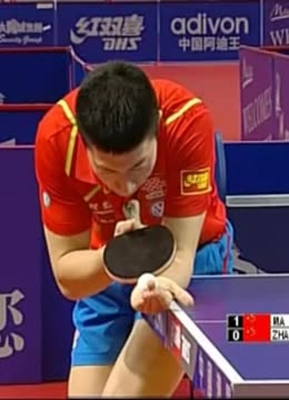 球迷们常常 球迷们常常