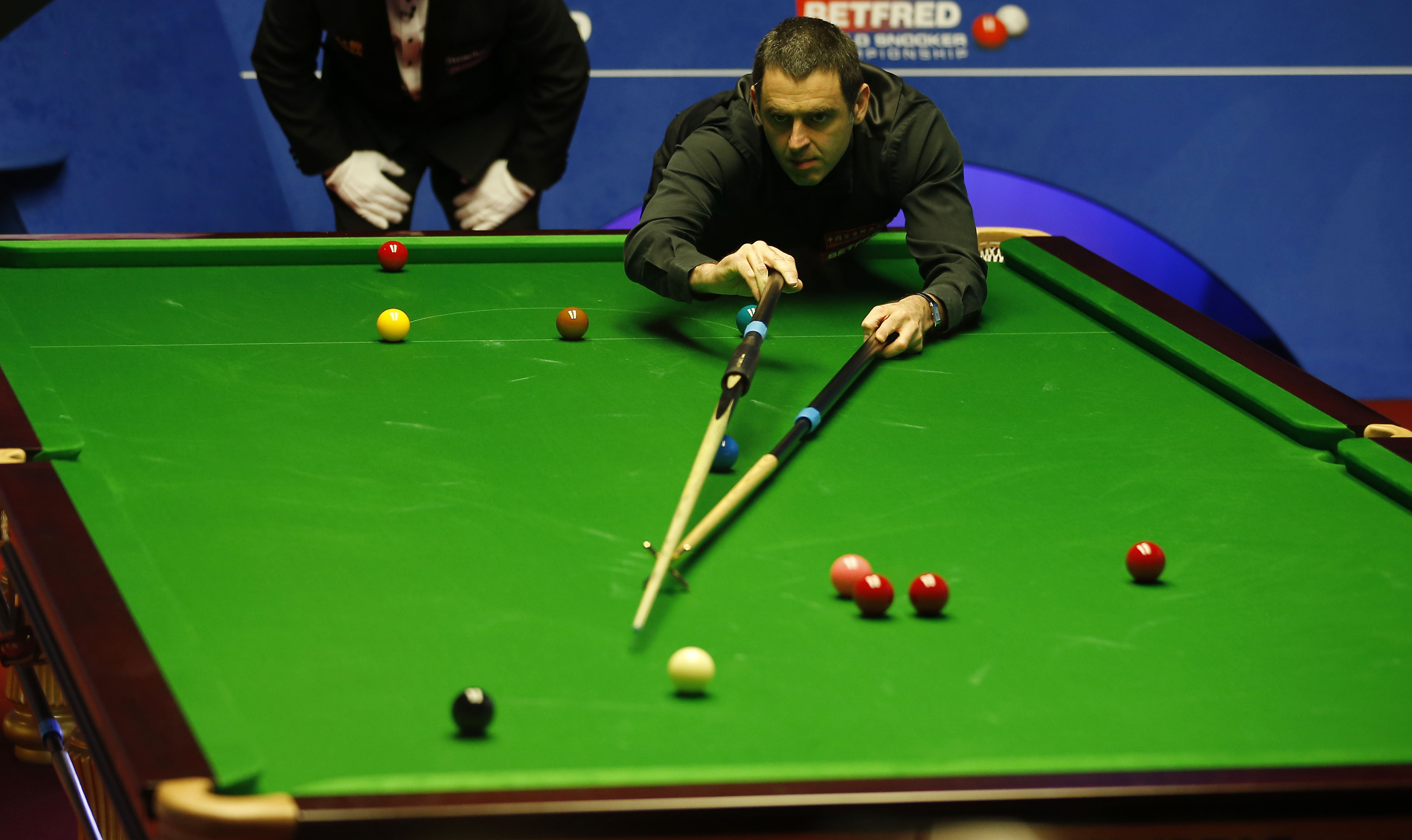 伐木等活动 伐木等活动