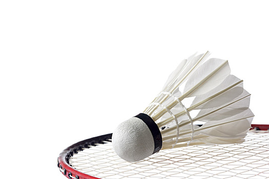 的一番话引 的一番话引