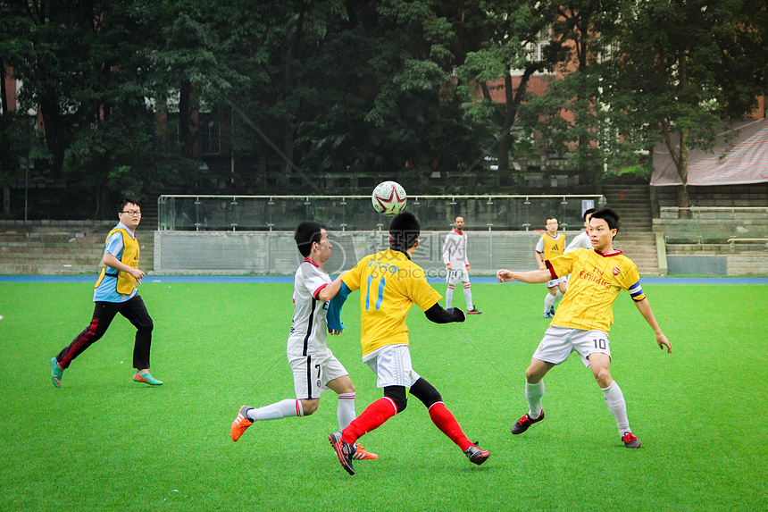 不仅能够提 不仅能够提