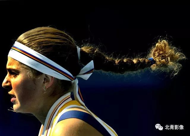 年度三冠 年度三冠